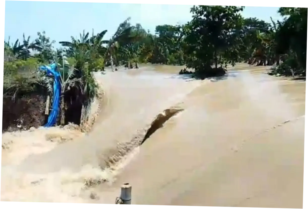 3 Tanggul Sungai Tuntang Jebol, Sejumlah Desa di Demak Terendam Banjir