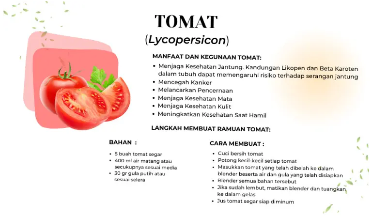 5 Manfaat Tomat bagi Kesehatan, Ampuh Cegah Kanker dan Jaga Fungsi Otak