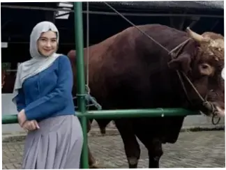 Ria Ricis Pilih Sapi Kurban, Moana Menangis Ketakutan