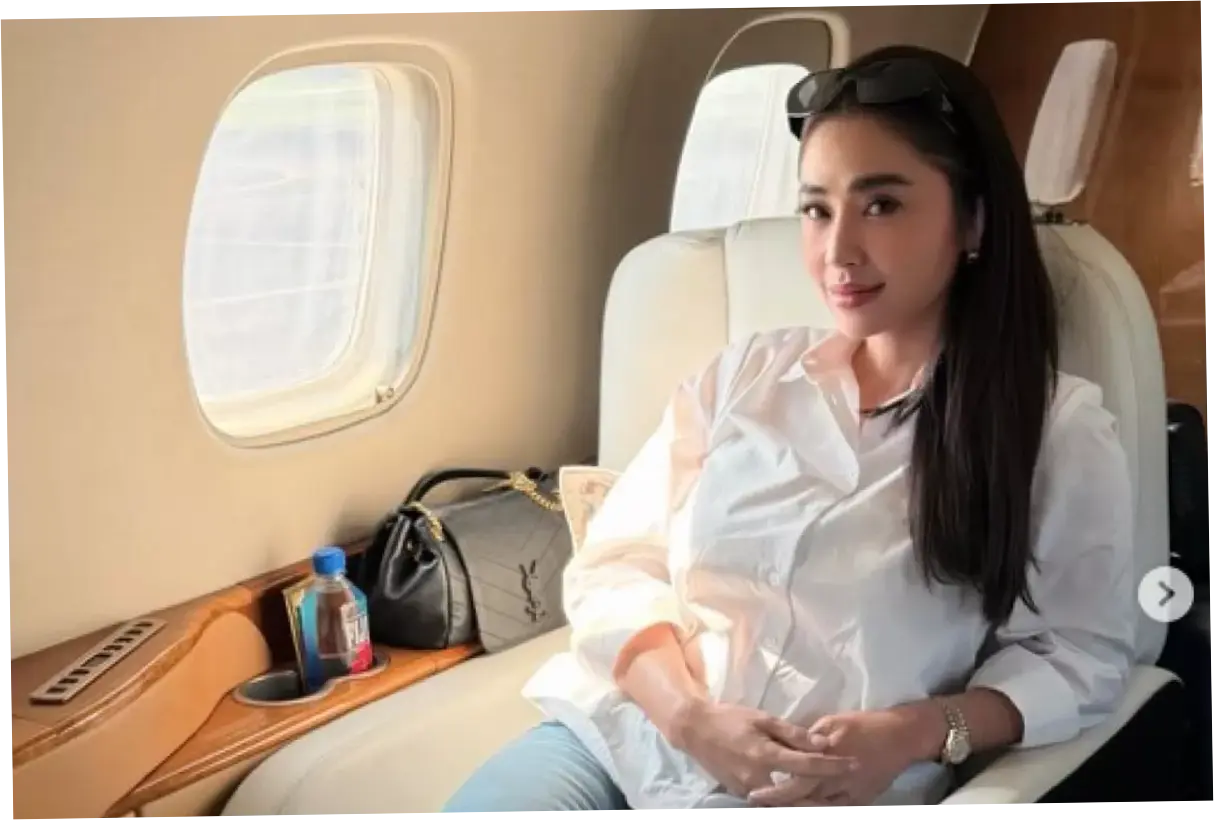Dewi Perssik Sebut Masalah dengan Aldi Taher Selesai, Netizen Memang Rada-Rada