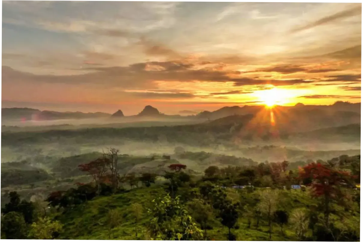 Rekomendasi Wisata Bojonegoro, Panorama Alam Mengesankan di Negeri Atas Angin