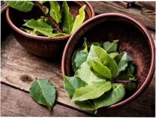 3 Metode Mengolah Daun Salam untuk Menjaga Kesehatan Tubuh