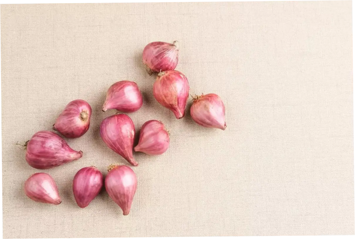 4 Manfaat Makan Bawang Merah Mentah bagi Kesehatan, Ampuh Menurunkan Kolesterol