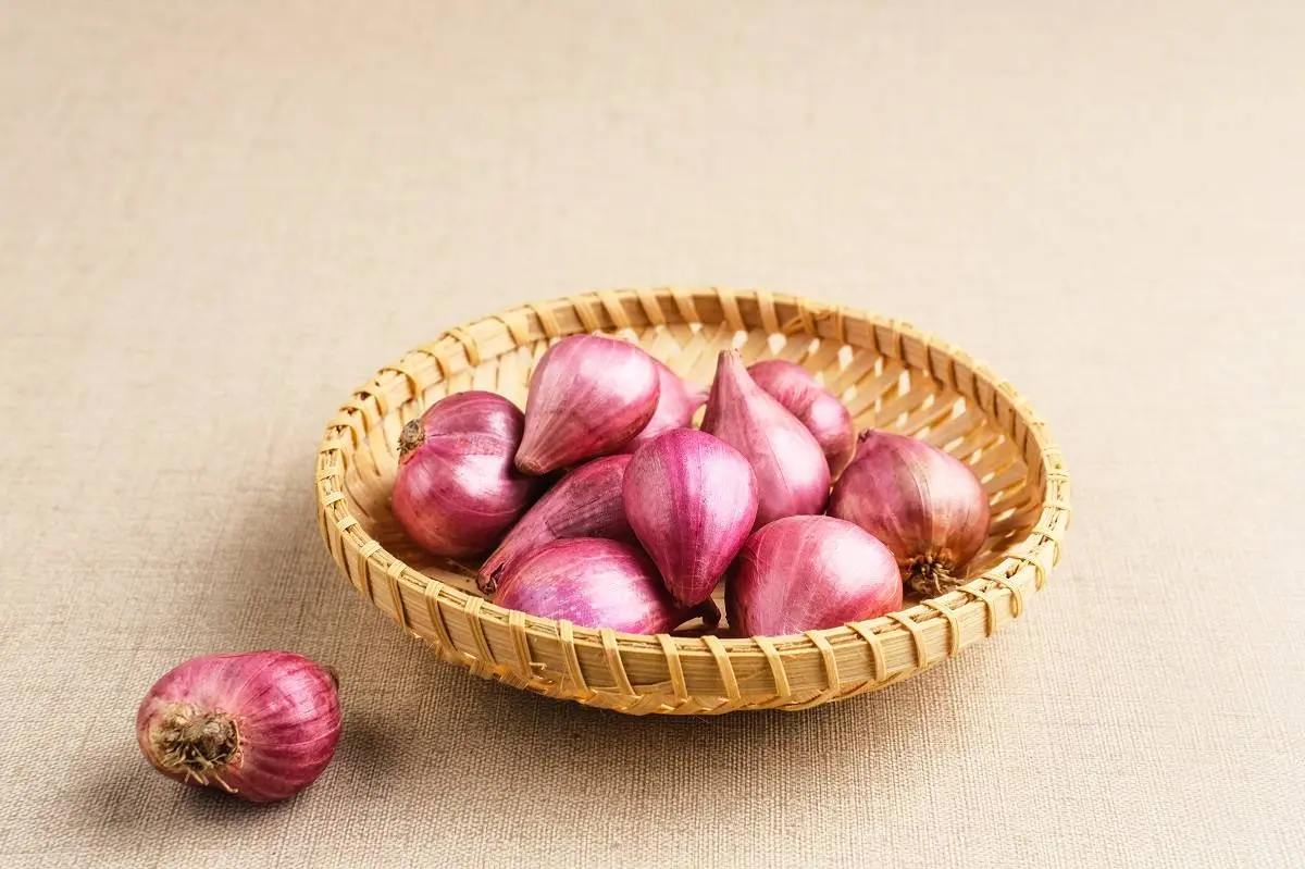 4 Manfaat Mengonsumsi Bawang Merah Mentah, Bantu Menurunkan Risiko Kanker