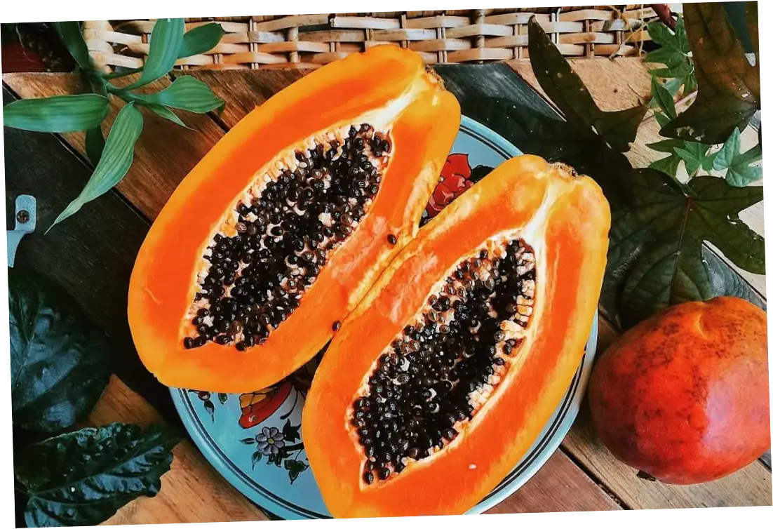 5 Manfaat Biji Pepaya, Pembersih Alami Usus dari Parasit dan Cacing