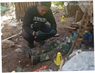 Kabar Macan Turun Gunung Papandayan di Garut Ternyata Hoaks