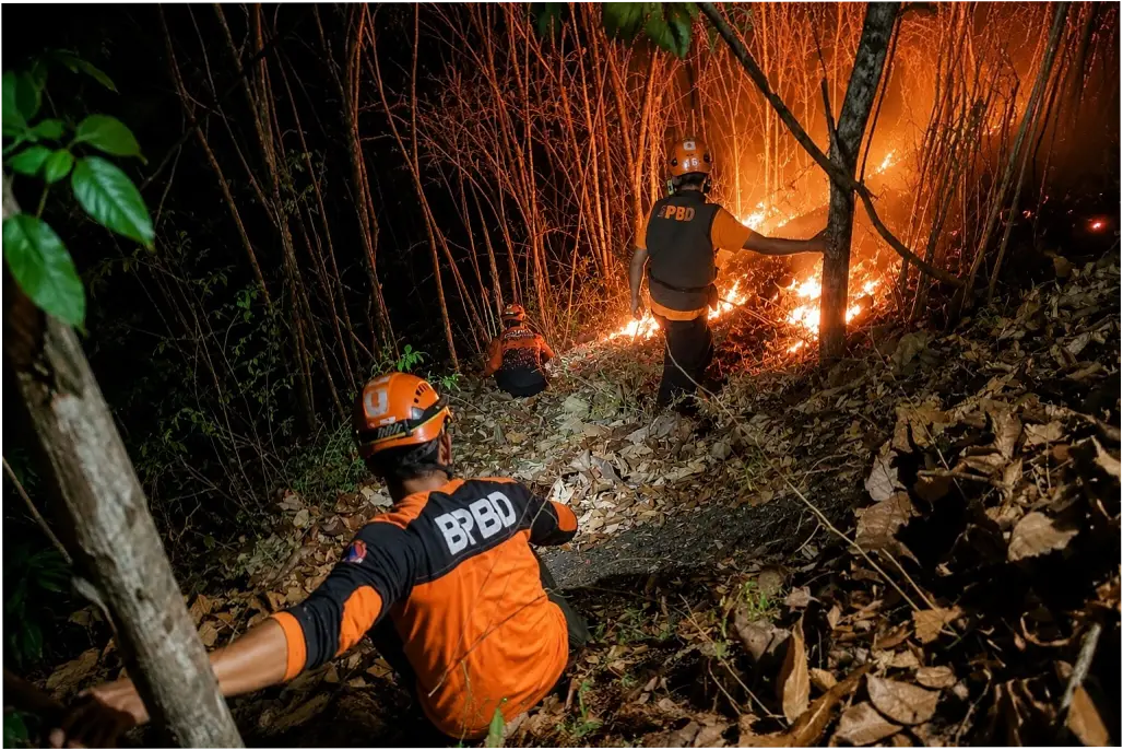 Kebakaran Hutan di Gunung Pucang: Penyebab, Dampak, dan Upaya Penanggulangan